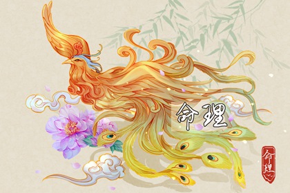 择吉老黄历,黄历择吉,择吉老皇历